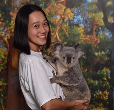 コアラ抱っこ写真